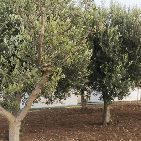 Nausicaa Guest house Marsala